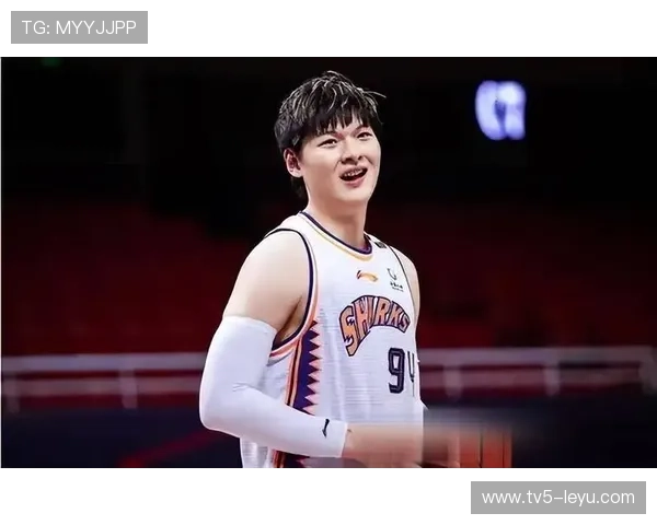 王哲林数据大揭秘：对阵CBA四大内线，他的真实表现到底如何？