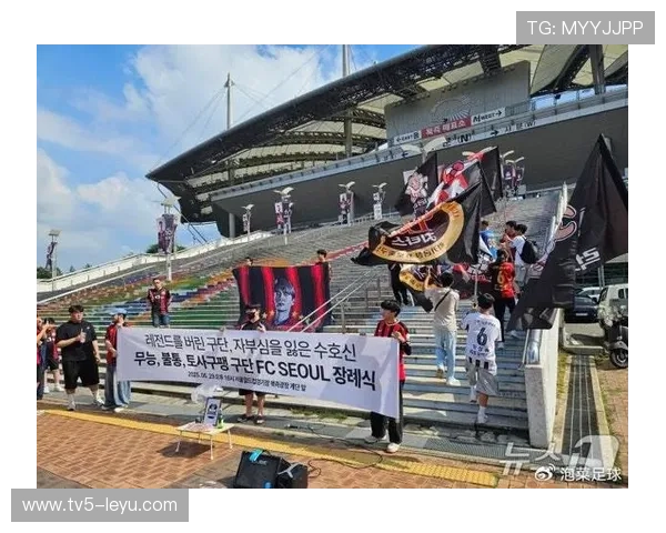 首尔FC：挑战新高峰，2025赛季展望与目标